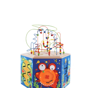 Cube d'activités - barrière de corail